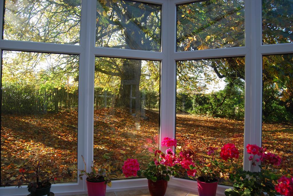 Grange Lodge Country House Dungannon Extérieur photo